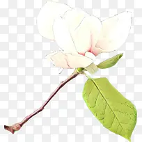 ��ͨ �� ֲ��-������