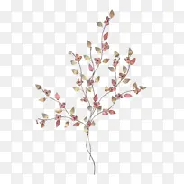 树枝 花 小枝-空若网 树枝 花 小枝-空若网