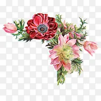 采购产品花 切花 花束-空若网 采购产品花 切花 花束-空若网