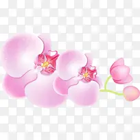 水彩画 颜料 湿墨-空若网 水彩画 颜料 湿墨-空若网