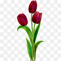 水彩 油漆 湿墨-空若网 水彩 油漆 湿墨-空若网