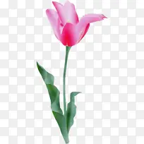 水彩 油漆 湿墨-空若网 水彩 油漆 湿墨-空若网