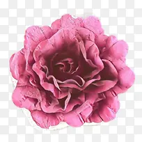 卡通 粉色 花瓣-空若网 卡通 粉色 花瓣-空若网