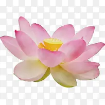 水彩 颜料 湿墨-空若网 水彩 颜料 湿墨-空若网