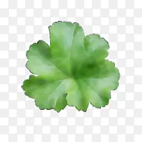 水彩画 颜料 湿墨-空若网 水彩画 颜料 湿墨-空若网