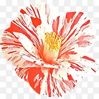 ��ͨ ���� ����-������