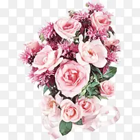 采购产品花 开花植物 花园玫瑰-空若网 采购产品花 开花植物 花园玫瑰-空若网