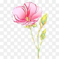 卡通 花卉 花瓣-空若网 卡通 花卉 花瓣-空若网