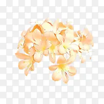 ��ͨ ���� ����������-������