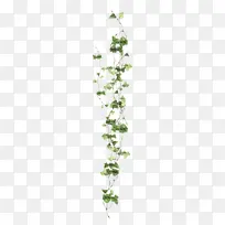 ˮ�ʻ� ���� ʪī-������