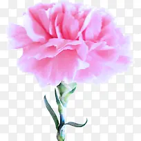 ��ɫ ���� ����-������