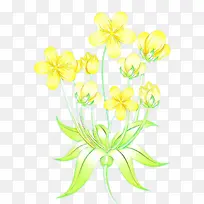 卡通 花 黄色-空若网 卡通 花 黄色-空若网