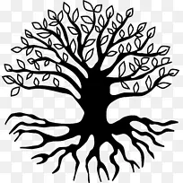 叶 树 头-空若网 叶 树 头-空若网