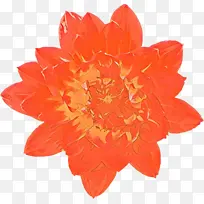 ��ͨ ��ɫ ����-������