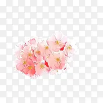 卡通 花朵 粉色-空若网 卡通 花朵 粉色-空若网