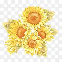 卡通 花卉 黄色-空若网 卡通 花卉 黄色-空若网