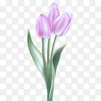 ���� ������ ����ֲ��-������