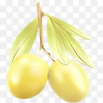 ��ͨ ˮ�� ��ɫ-������