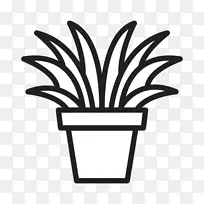 »¨Åè Ò¶×Ó Ö²Îï-¿ÕÈôÍø »¨Åè Ò¶×Ó Ö²Îï-¿ÕÈôÍø