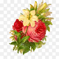 �ɹ���Ʒ�� ����ֲ�� ����-������