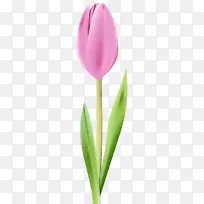 水彩 油漆 湿墨-空若网 水彩 油漆 湿墨-空若网