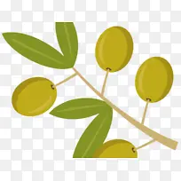 橄榄 叶子 黄色-空若网 橄榄 叶子 黄色-空若网