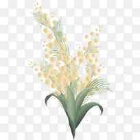 ֲ�� �� ����ֲ��-������