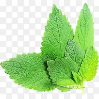 水彩画 颜料 湿墨-空若网 水彩画 颜料 湿墨-空若网