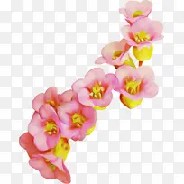 粉色 花朵 花瓣-空若网 粉色 花朵 花瓣-空若网