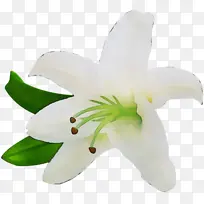 水彩 颜料 湿墨-空若网 水彩 颜料 湿墨-空若网