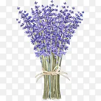 ²É¹º²úÆ·»¨ Þ¹ÒÂ²Ý Ö²Îï-¿ÕÈôÍø ²É¹º²úÆ·»¨ Þ¹ÒÂ²Ý Ö²Îï-¿ÕÈôÍø