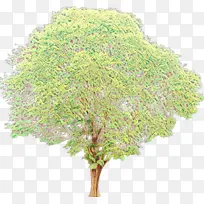 卡通 树 植物-空若网 卡通 树 植物-空若网