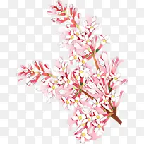 卡通 粉色 花朵-空若网 卡通 粉色 花朵-空若网