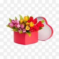 采购产品花 花盆 郁金香-空若网 采购产品花 花盆 郁金香-空若网