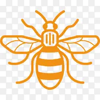 ��ɫ ��ɫ ����-������