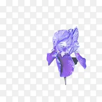 ������ ��ɫ ����-������