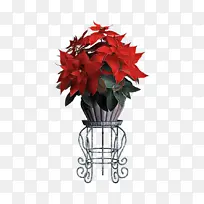 ��ɫ һƷ�� Ҷ-������