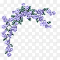 丁香 紫罗兰 薰衣草-空若网 丁香 紫罗兰 薰衣草-空若网