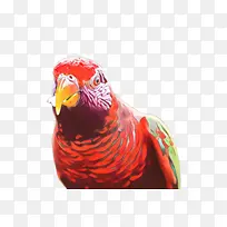 食物 菜肴 配料-空若网 食物 菜肴 配料-空若网