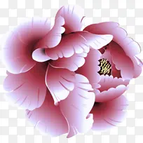 粉色 花瓣 花-空若网 粉色 花瓣 花-空若网