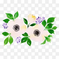 �� ֲ�� Ҷ-������