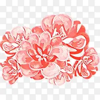 ��ͨ ��ɫ ����-������