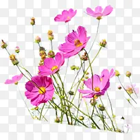 水彩 颜料 湿墨-空若网 水彩 颜料 湿墨-空若网