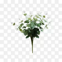 人工花胶树灌木桉树-空若网 人工花胶树灌木桉树-空若网