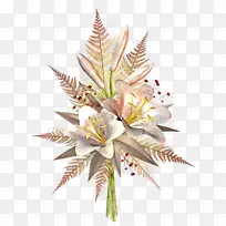 花 植物 叶-空若网 花 植物 叶-空若网