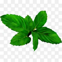 水彩画 颜料 湿墨-空若网 水彩画 颜料 湿墨-空若网