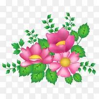 花 花瓣 叶-空若网 花 花瓣 叶-空若网