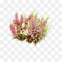 ��ͨ ���� ֲ��-������