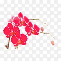 ��ͨ ��ɫ ����-������