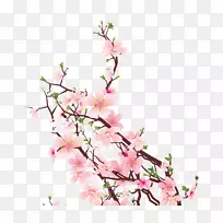 ӣ���л��������-ӣ��-������